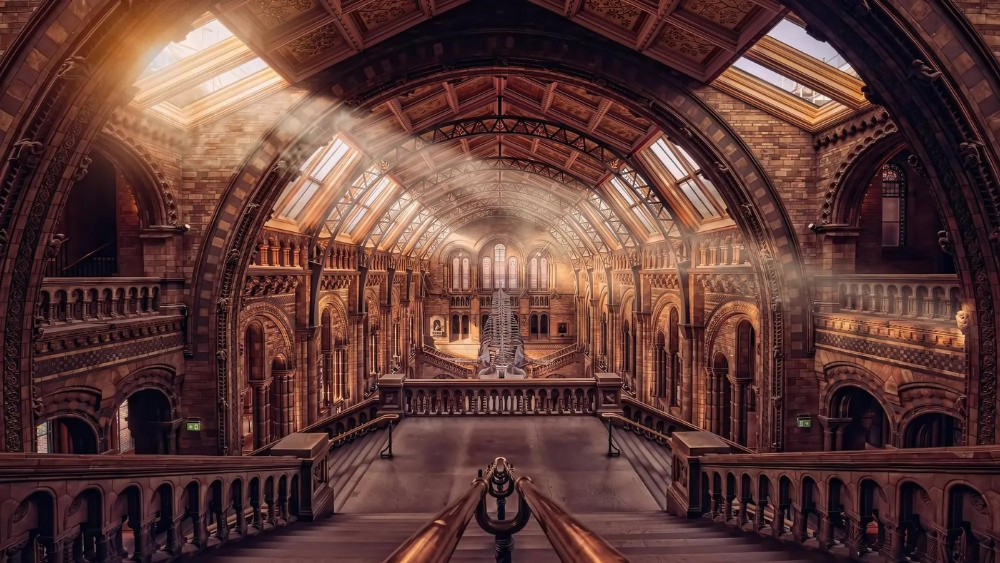 Explore the Natural History Museum London! Get details on address, tickets, top exhibits, best visit times, nearby attractions, and tips for a memorable experience.