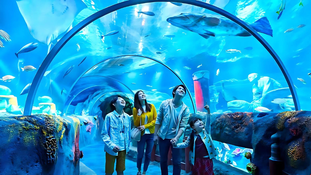 Dive into Sea Life London Aquarium wonders: explore the Ocean Tunnel, marvel at jellyfish, visit playful penguins, and discover vibrant coral reefs. A must-see for all ages!