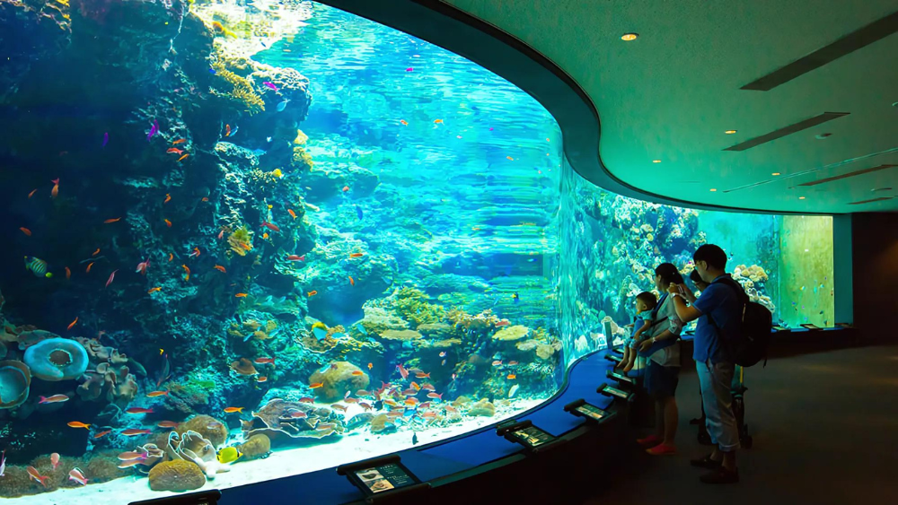 Dive into Sea Life London Aquarium wonders: explore the Ocean Tunnel, marvel at jellyfish, visit playful penguins, and discover vibrant coral reefs. A must-see for all ages!